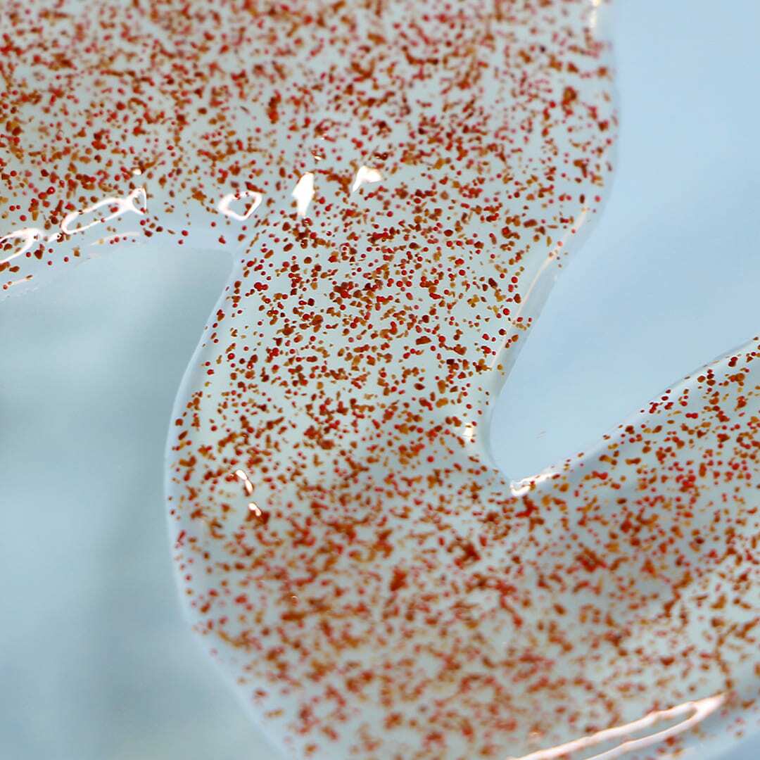 Gommage Visage Bio – Peaux Mixtes/Grasses – 75 ml 🍊