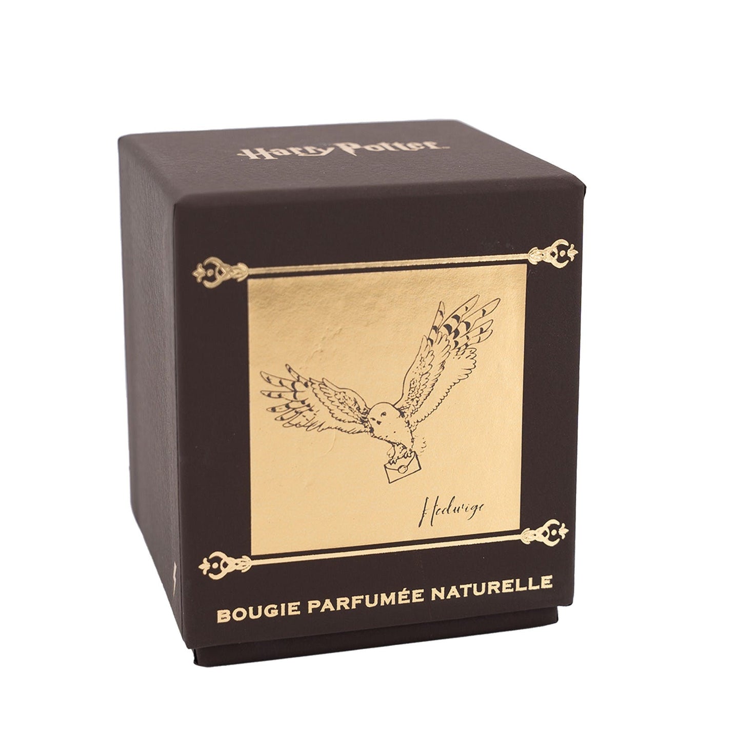 Bougie Parfumée Harry Potter - Hedwige - Fleur de Coton